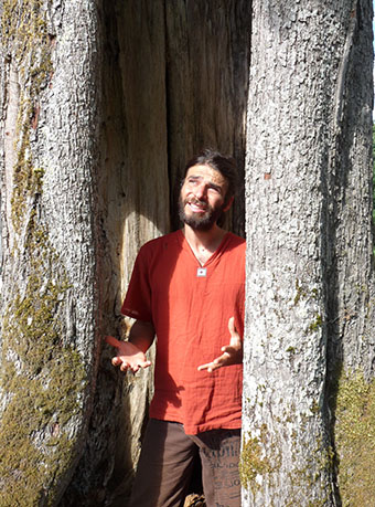 Botanique par laurent azuelos dans le tronc d'un arbre majestueux